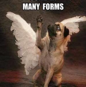 Meet your Posher, Becky